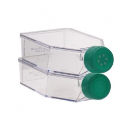 Fiasca per colture sterili trattate in polistirene cristallo trattate ml  25 area di crescita cm2 12,5 tappo standard cf.200 pz. 